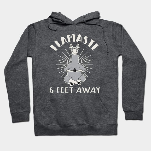 Llamaste 6 Feet Away Hoodie by Alema Art